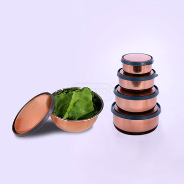 5 Stainless Steel Bowl + 5 Push & Lock Lid (10PL5)