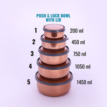 5 Stainless Steel Bowl + 5 Push & Lock Lid (10PL5)