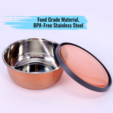 5 Stainless Steel Bowl + 5 Push & Lock Lid (10PL5)