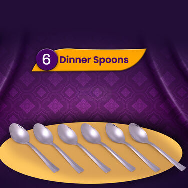 48pcs Stainless Steel Premium Dinner Set (48SDS)