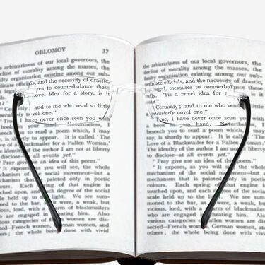 Rimless Adaptive Power Bifocal Reading Glasses B1G1 (BORG4)