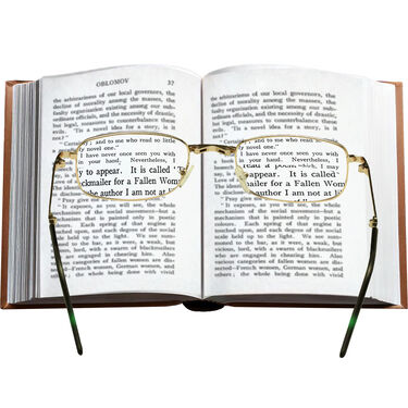 Daily Use Bifocal Folding Reading Glasses + Carry Case (BRG26)